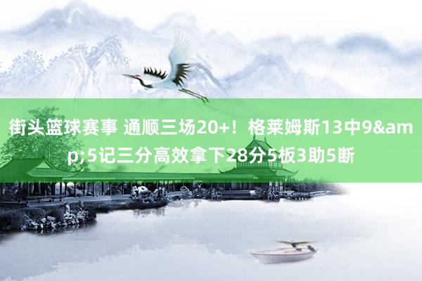 街头篮球赛事 通顺三场20+！格莱姆斯13中9&5记三分高效拿下28分5板3助5断