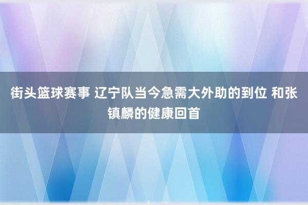 街头篮球赛事 辽宁队当今急需大外助的到位 和张镇麟的健康回首