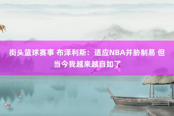 街头篮球赛事 布泽利斯：适应NBA并胁制易 但当今我越来越自如了