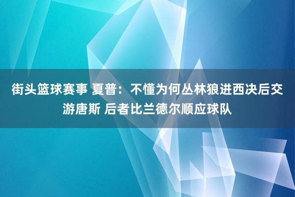 街头篮球赛事 夏普：不懂为何丛林狼进西决后交游唐斯 后者比兰德尔顺应球队